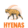 Hyäne Geschenk Erdwolf Hyena