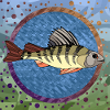Fisch