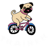 Pug Trainer Dog Puppy