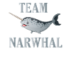 Team Narwal