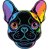 Français Rainbow Bulldog Dog Frenchie