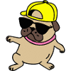 Rapper Pug Dog Puppy
