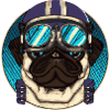 Retro Pug Pilot Dog Puppy