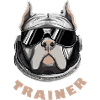 Pitbull Retro Sneakers Dog Terrier