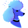 Vaporwave Caniche Chien Chiot