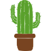 Kaktus