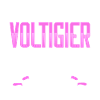 Voltigieren