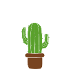 Free hugs Kaktus
