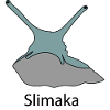 Snail - Slimaka