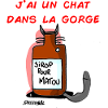 Un chat