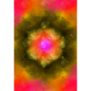 Circles of the Sun
