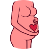 Ventre Coeur Femme enceinte