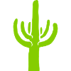 Plant Silhouette Desert Cactus