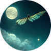 Insect