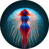Jellyfish Version 2