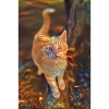 chat doux