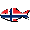 Norway Fishing Fish Angler Fishing