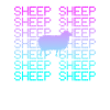 Sheep