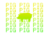 Pig