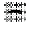 Crocodile
