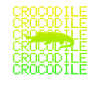 Crocodile