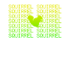 Écureuil