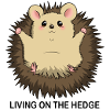 Hedgehog