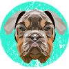 Dog Polygon Boxer Design - vidunderlig hunderace