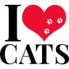 I love cats