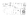 memento mori