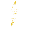 Physik Physiker