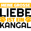 Kangal Geschenke lustig