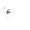 Physik Physiker