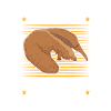 Anteaters are fantastic anteaters