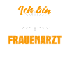 Steinmetz