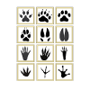 empreintes animaux