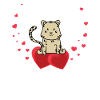 Beau bébé guépard