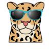 Funny cheetah with sunglasses