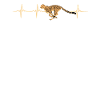 Cheetah Heartbeat