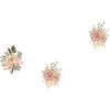 Fiori del 102° Anniversario (Regalo di 102 anni)