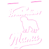 Meilleur St. Bernard Mama