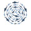 Group of sharks
