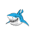 Funny shark saying