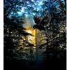 presentie Adler Wald