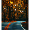 presentie strasse