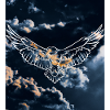 Presentie Adler Nacht