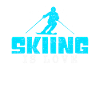 Ski Saying