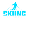 Ski Saying