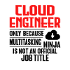 Administrateur Cloud Devops