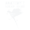Ara Anatomie Ornithéro perroquet